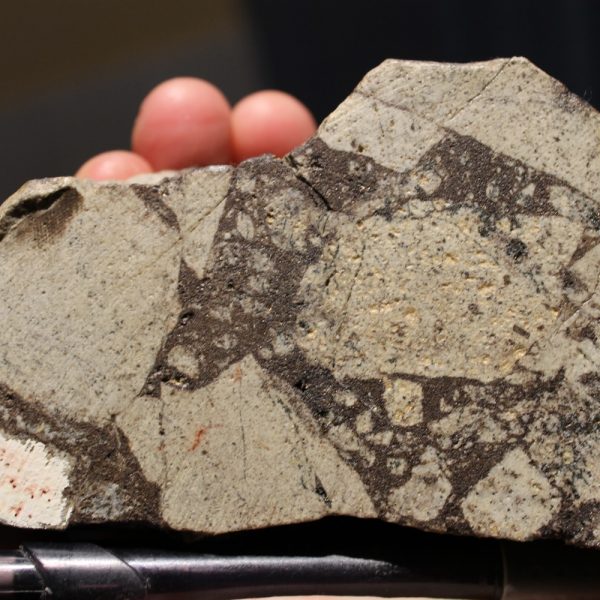 Porphyry Shells Porphyry Cu-Au ± Mo Deposits – Geoinsite